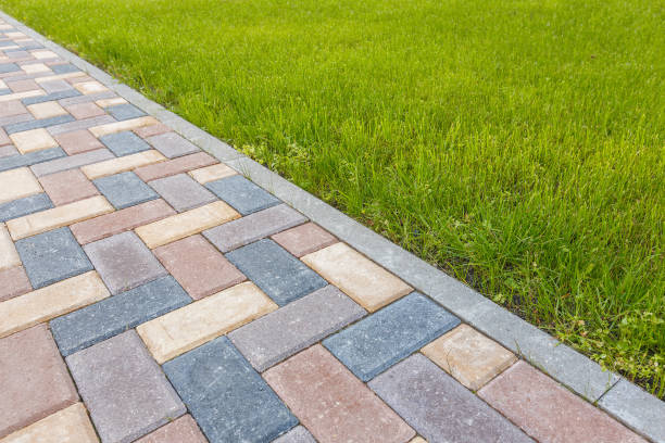 Best Driveway Paving Contractor  in Whitney, TX